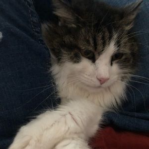 Meet your Posher, Bethany